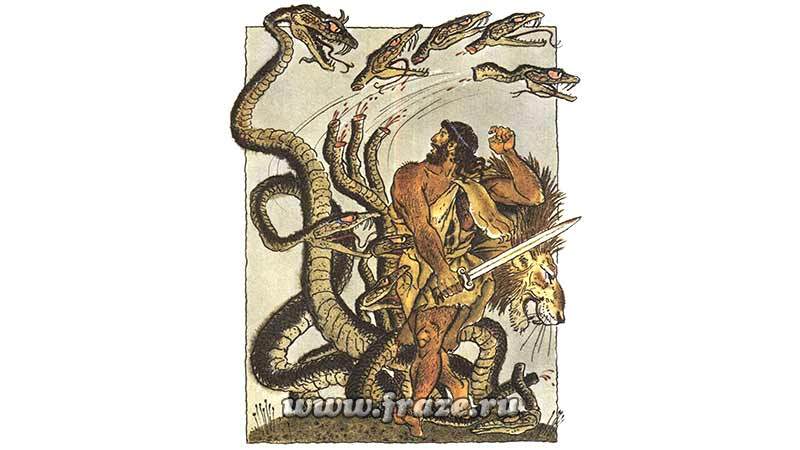 Darknet ссылки