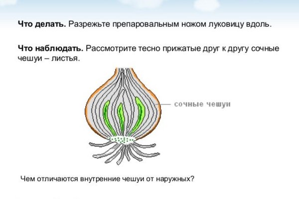 Что такое кракен площадка