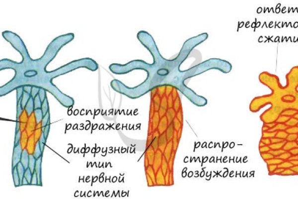 Удалился аккаунт кракен