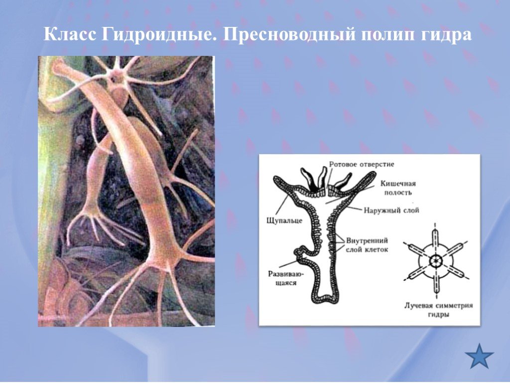 Украли аккаунт на кракене